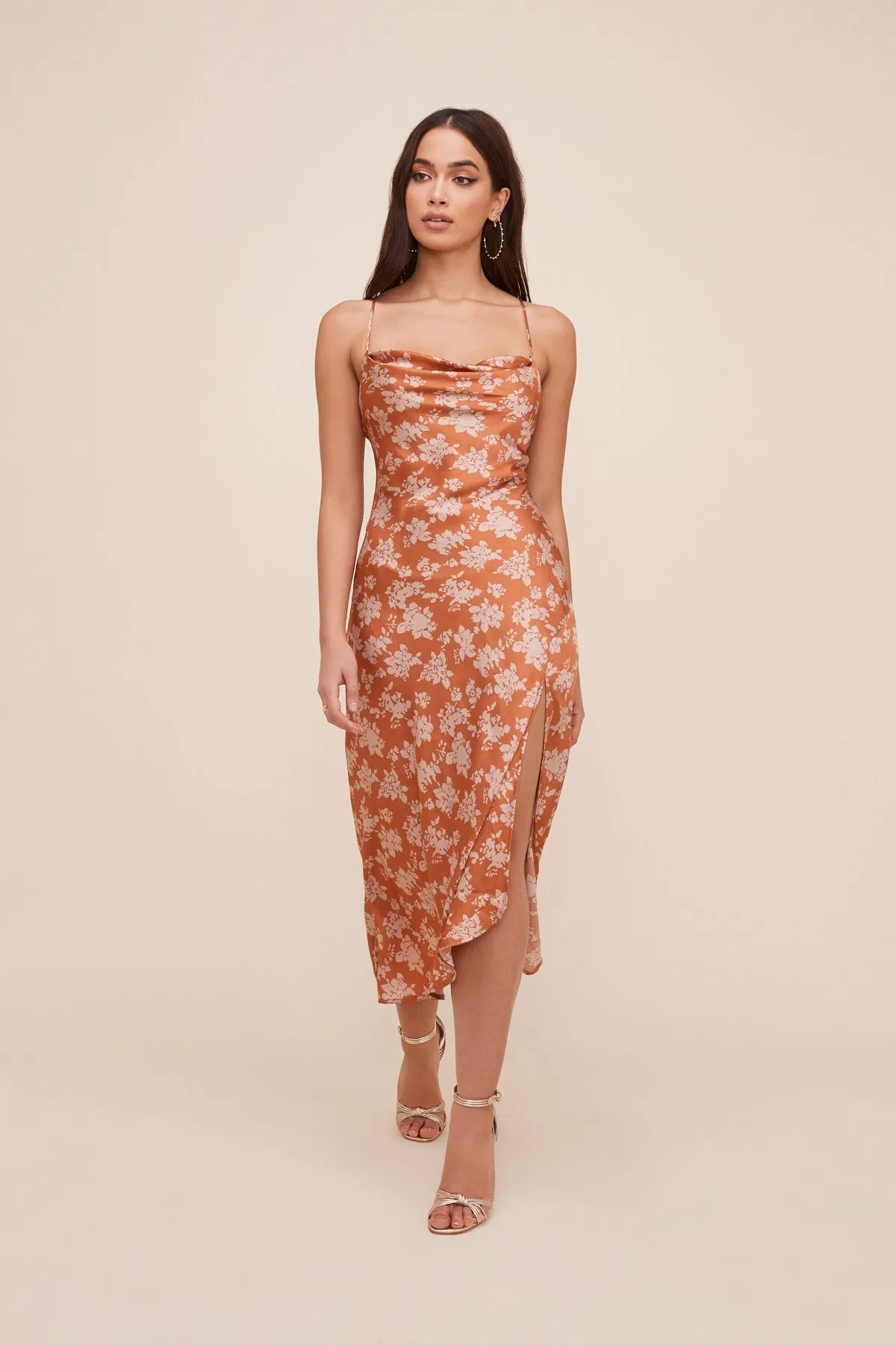 Gaia Floral Midi Dress