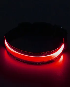 LED COLLAR - FUTURE LOVERS