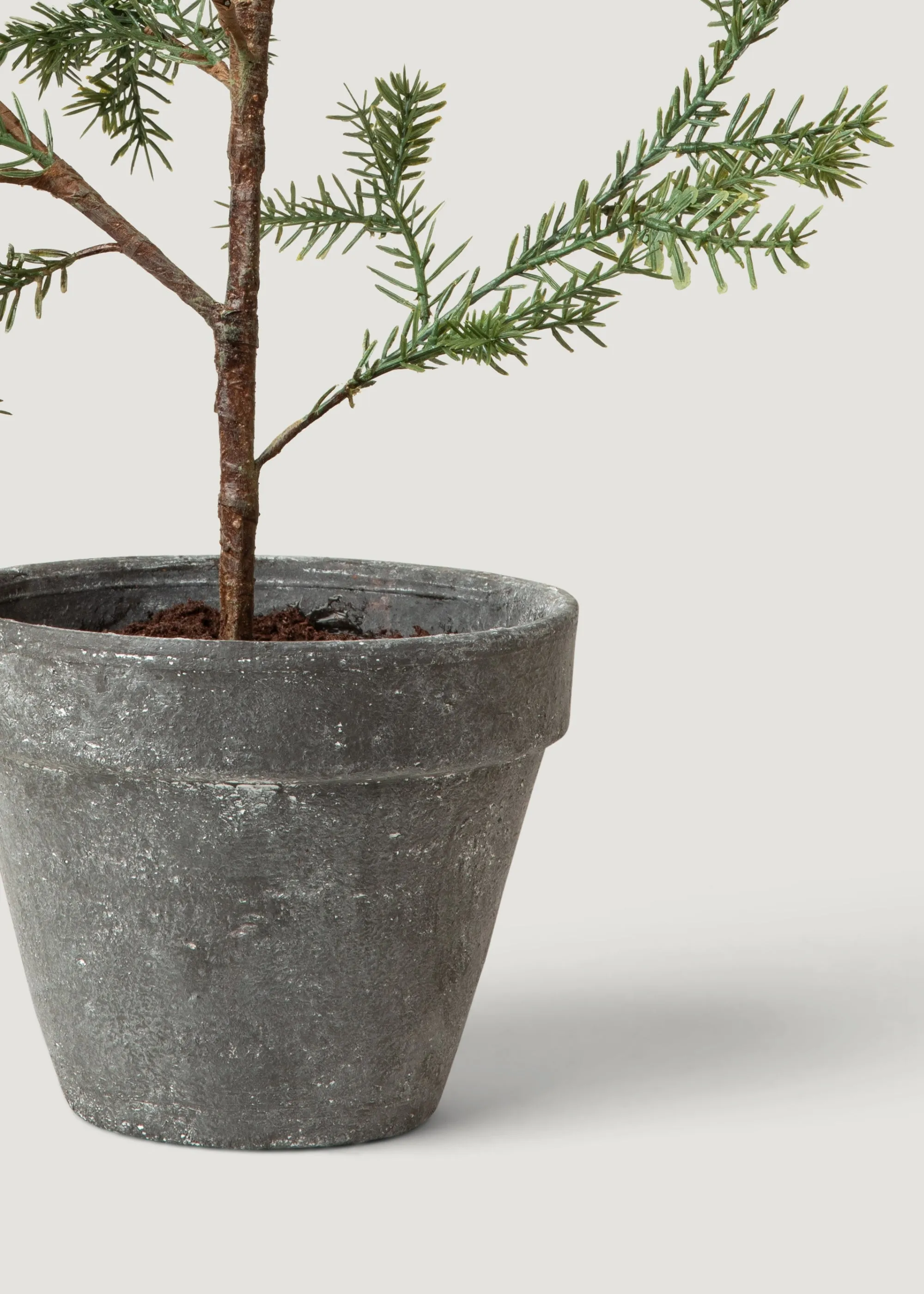 Young Sapling Faux Pine Tree in Pot - 19"